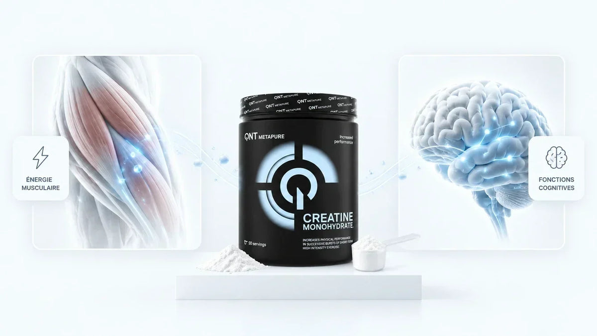 Créatine sans sport : quels effets sur le corps et le cerveau ?