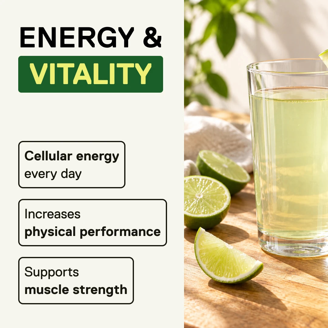 QNT LIIFE Micronized Creatine Lemon Lime – energy and physical performance