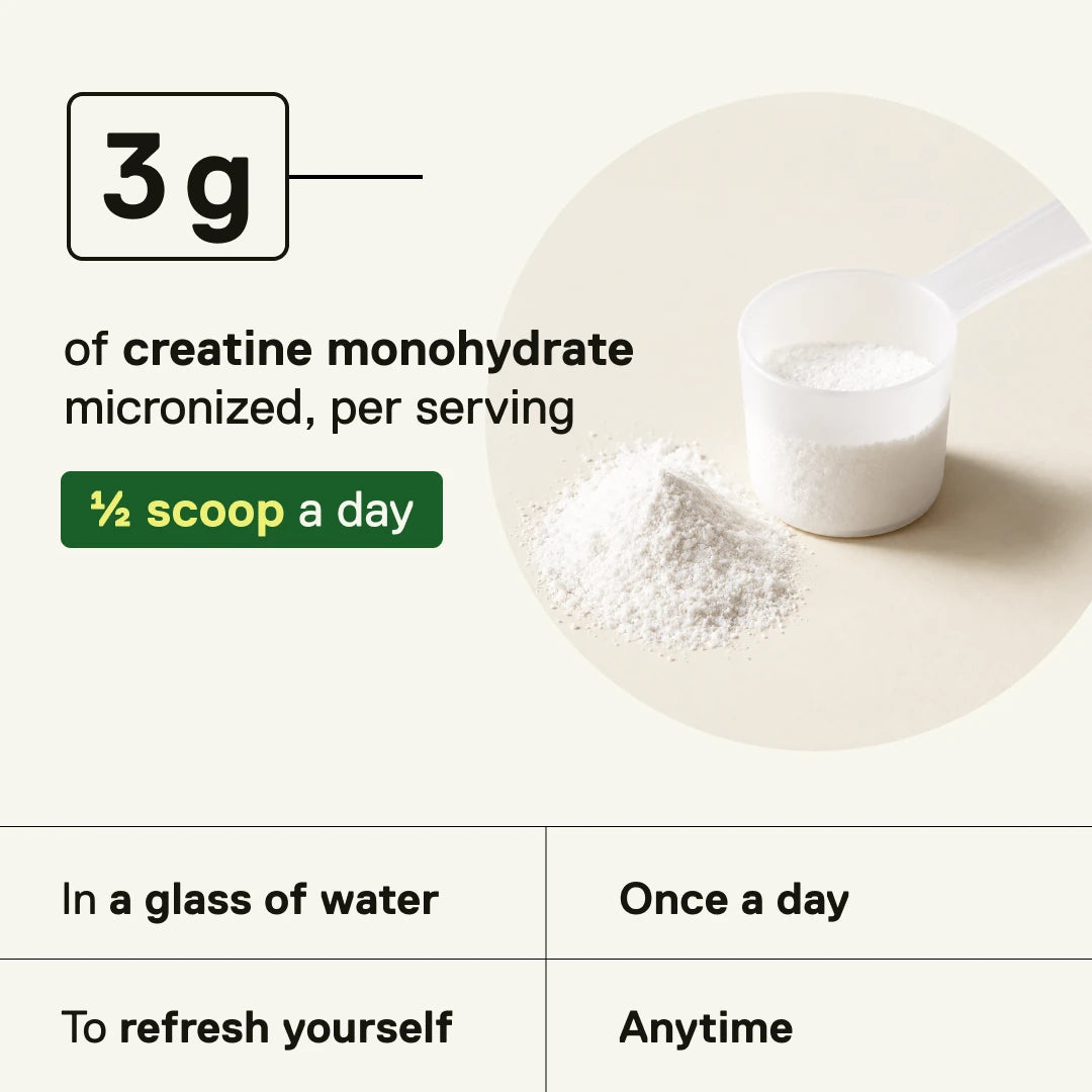 QNT LIIFE Micronized Creatine Lemon Lime – 3 g creatine monohydrate per serving