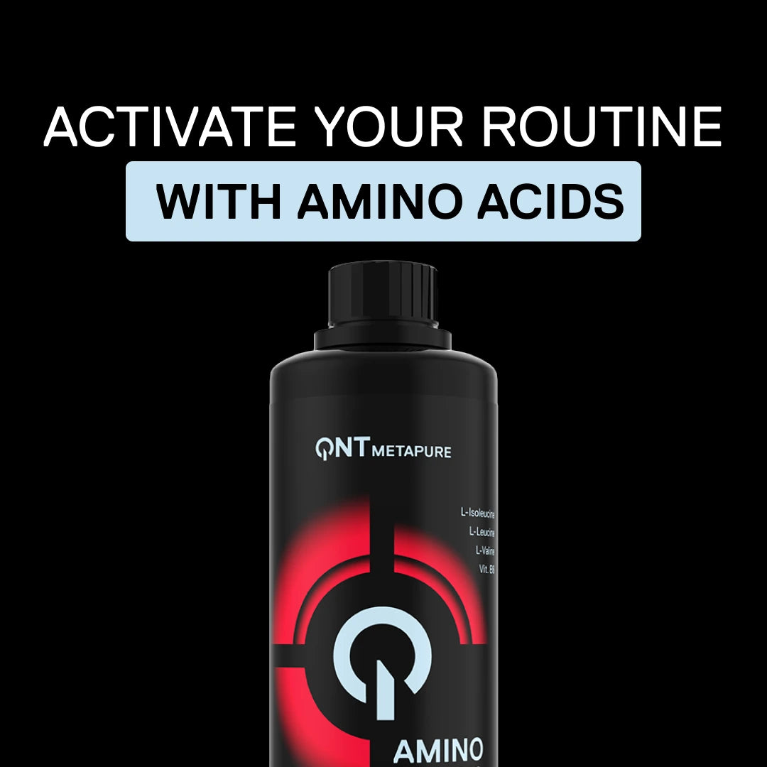 QNT Metapure Amino 4000: liquid amino acids with red fruit flavour.