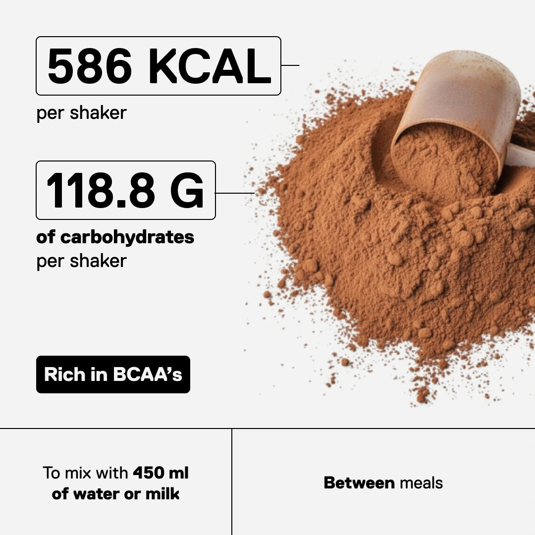 QNT Metapure Muscle Mass 3000 protein mass gainer — Chocolate — visual 2