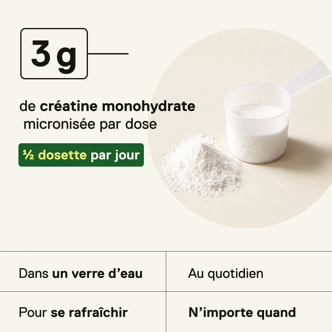 QNT LIIFE Créatine Micronisée Citron Vert – 3 g de créatine monohydrate par dose