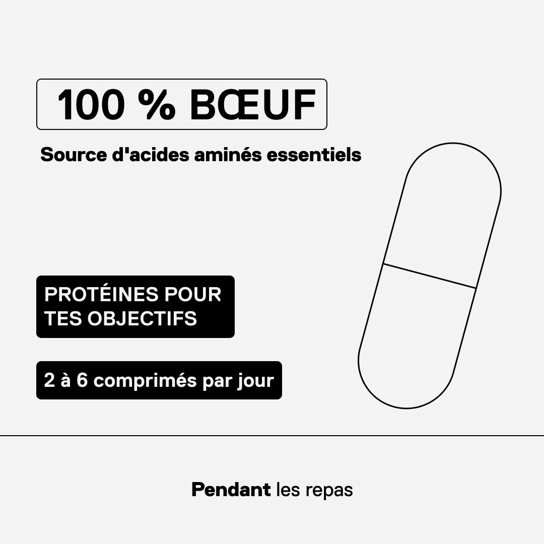 Beef Aminos Metapure QNT – 100 % bœuf, protéines pour tes objectifs