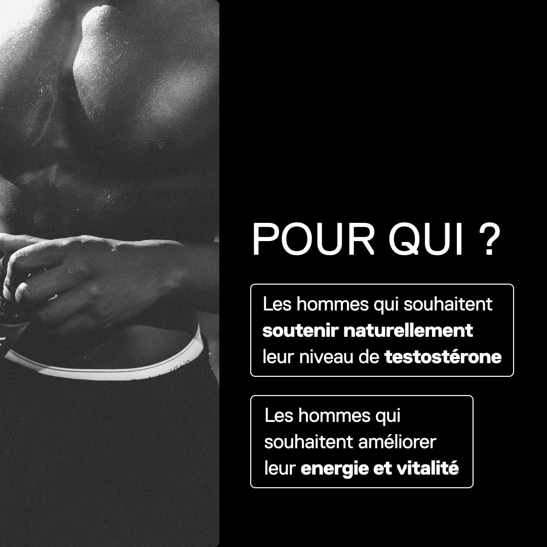 QNT Metapure Testek pour hommes souhaitant soutenir naturellement leur testostérone et vitalité