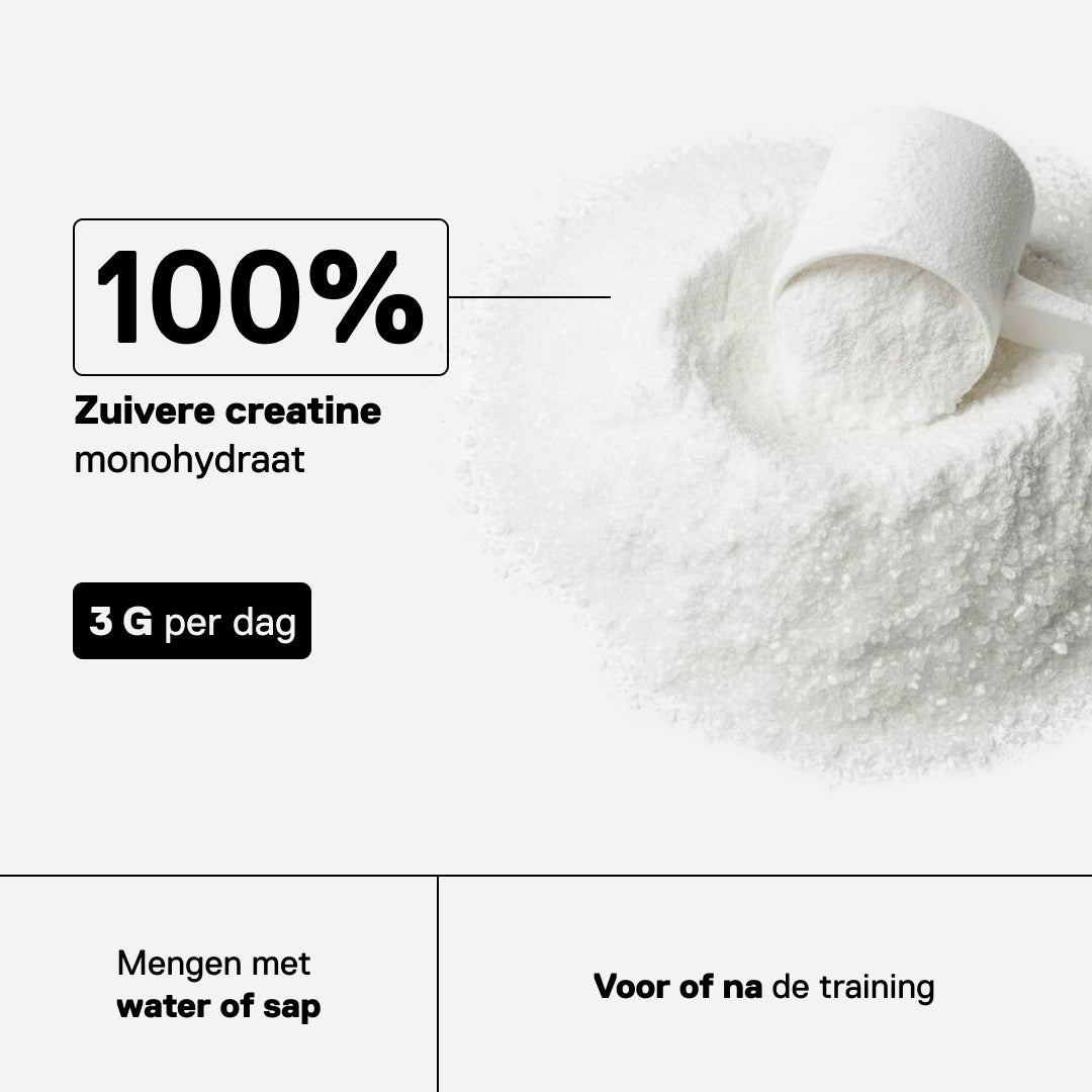 Zuivere creatine monohydraat poeder QNT Metapure met maatlepel, 3g dagelijkse dosering