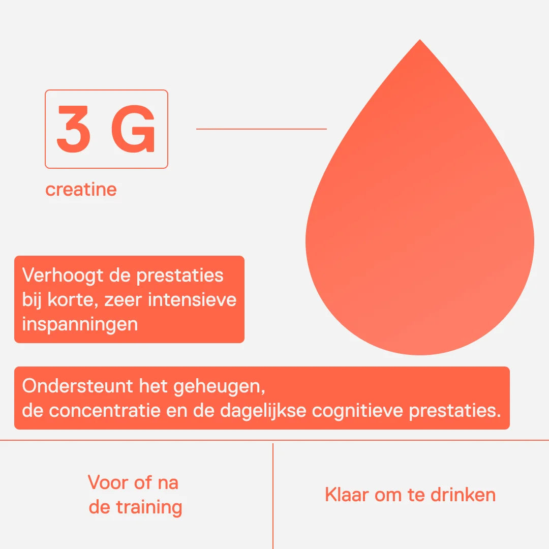 3 g creatine per blikje: verhoogt de prestaties bij korte, zeer intensieve inspanningen, voor of na de training, drinkklaar