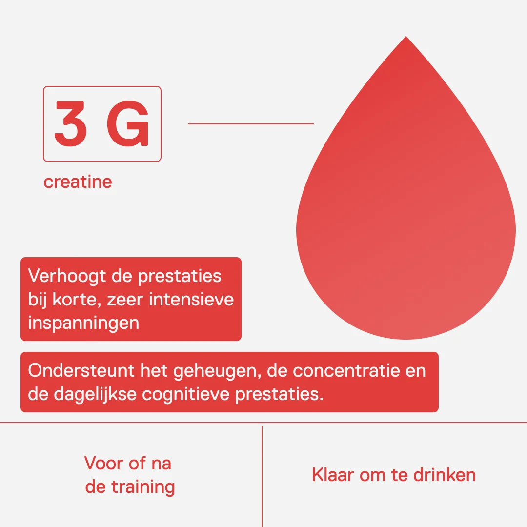 3 g creatine per blikje: verhoogt de prestaties bij korte, zeer intensieve inspanningen, voor of na de training, drinkklaar