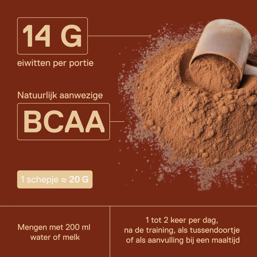Light Digest wei-eiwit QNT Chocolade-hazelnoot – 14 g eiwitten per portie met natuurlijk aanwezige BCAA, 1 schepje ≈ 20 g mengen met 200 ml water of melk