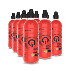 Thermo Booster  | 12 x 700 ml Veenbes/Citroen