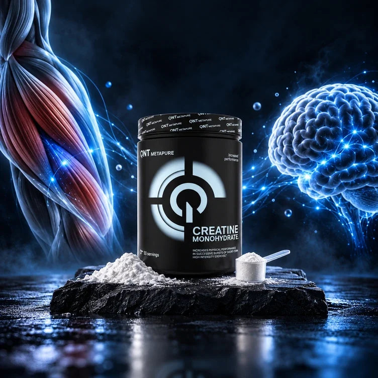 Créatine sans sport : quels effets sur le corps et le cerveau ?
