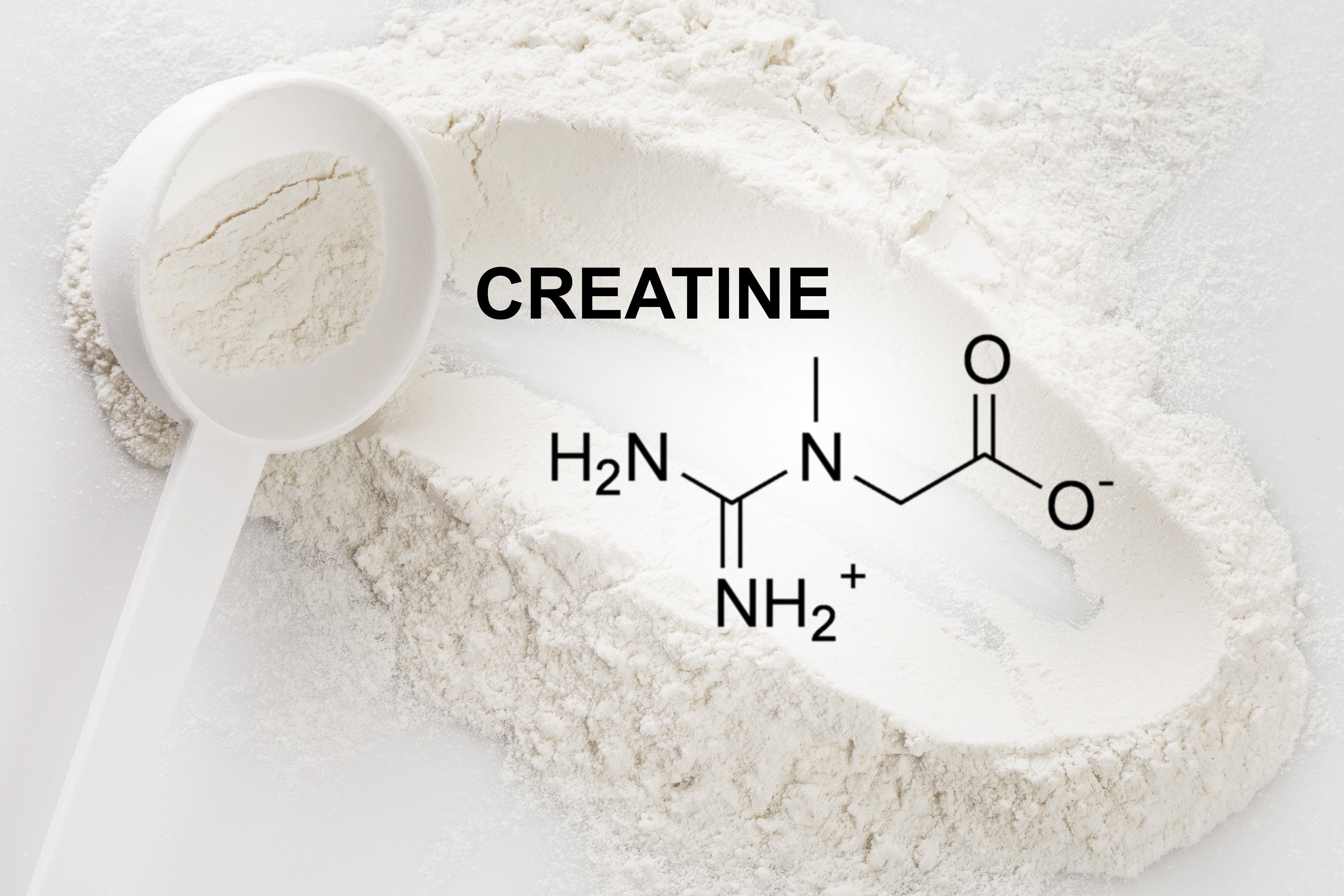 Illustration de créatine monohydrate en poudre avec une dosette blanche remplie de poudre, le mot « CREATINE » et sa structure moléculaire sur un fond de poudre blanche.