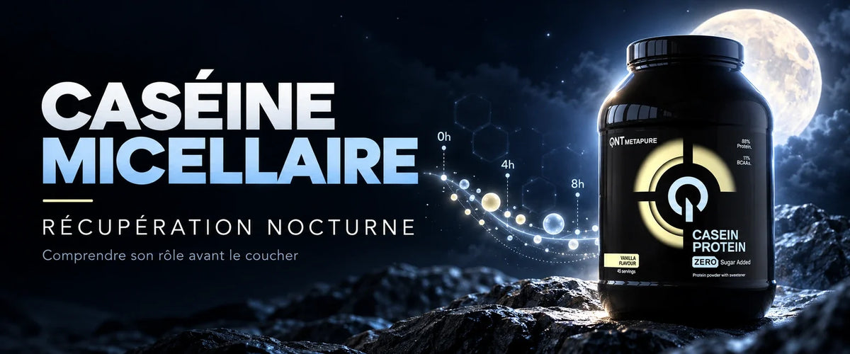 Caséine micellaire : la protéine lente pour la récupération nocturne