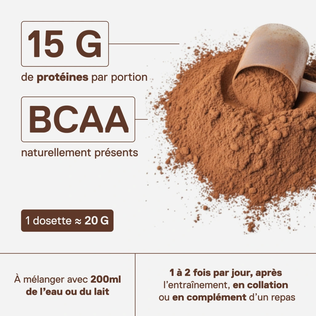 QNT LIIFE Light Digest Whey Protéine saveur Chocolat noisette - Riche en protéines, faible en sucres, idéale après l'effort