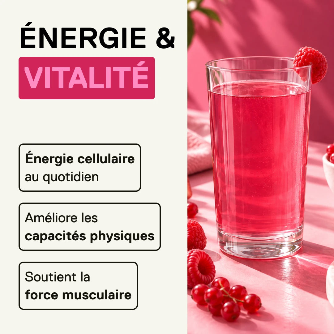 QNT LIIFE Créatine Micronisée Fruits Rouges – énergie et capacités physiques
