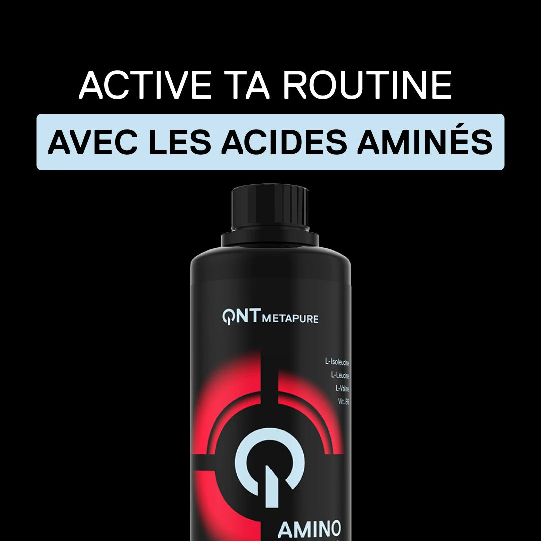 QNT Metapure Amino 4000 : acides aminés liquides saveur fruits rouges.