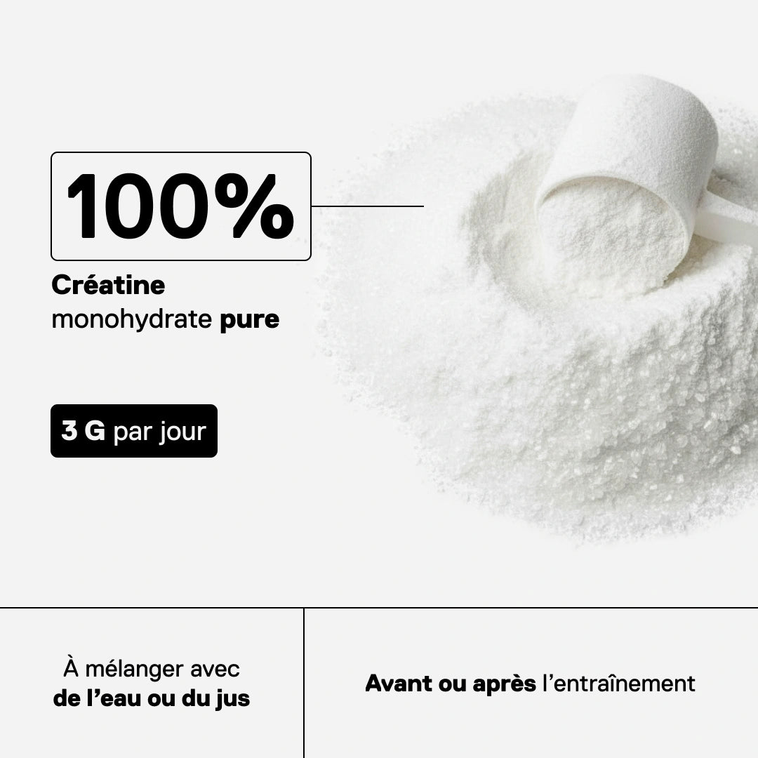 Poudre de créatine monohydrate pure QNT Metapure avec doseur, 3g par jour recommandés