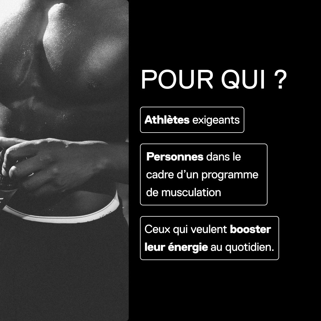 QNT Metapure Créatine Monohydrate pour athlètes et pratiquants de musculation réguliers