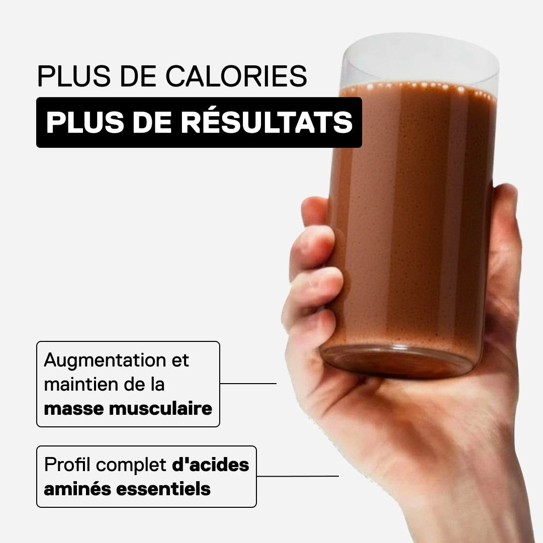 QNT Metapure Mass Whey Isolate Gainer — Chocolat belge — visuel 3