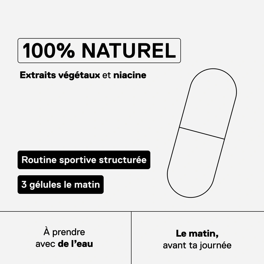 Riptek V2 METAPURE — formule à base de thé vert, piment rouge, maté et niacine pour soutenir l'effort