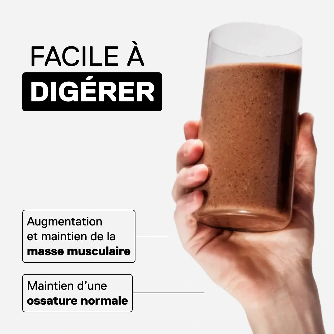Shake whey isolate noisette QNT digestion facile maintien masse musculaire faible sucre
