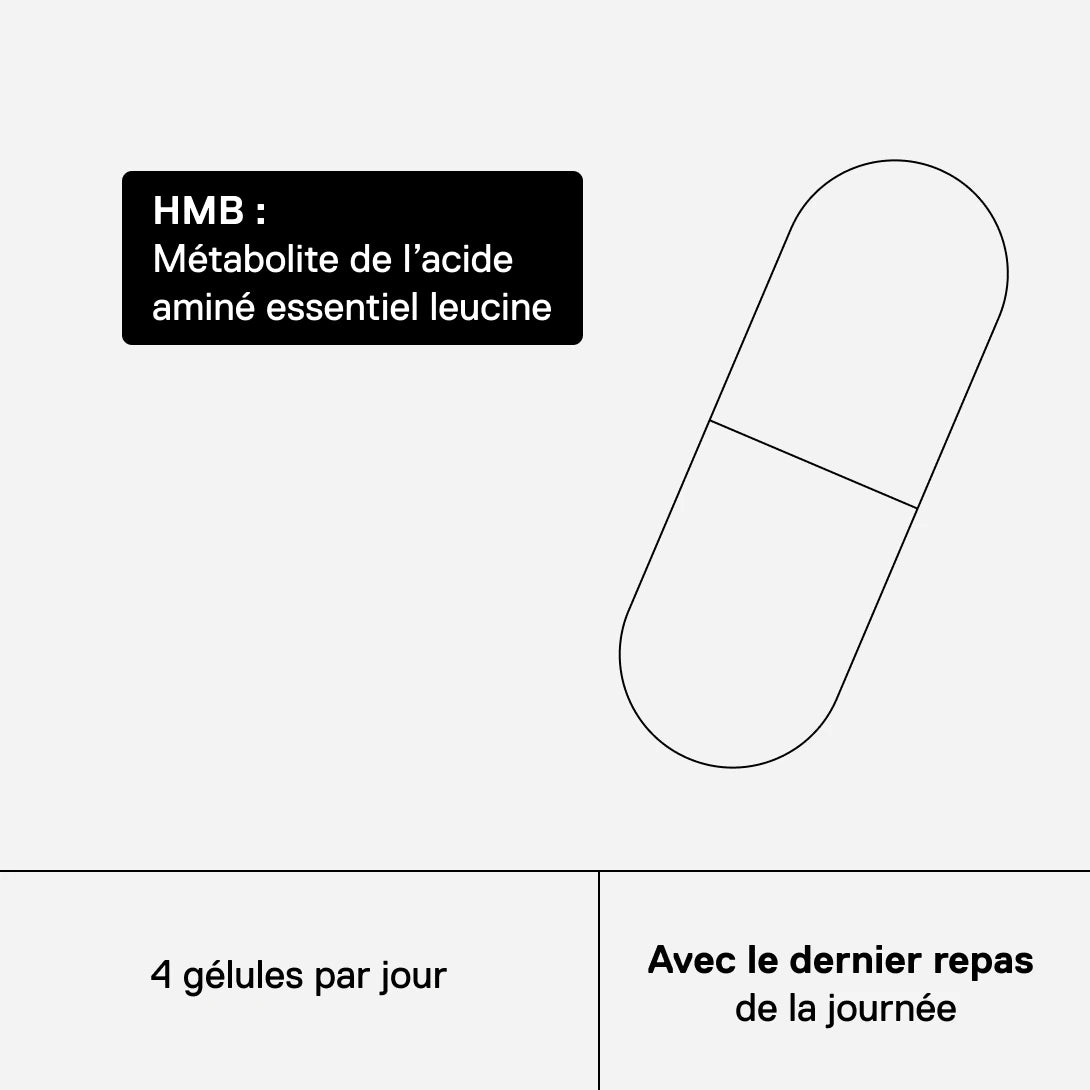 QNT MOVE HMB – 4 gélules par jour avec le dernier repas