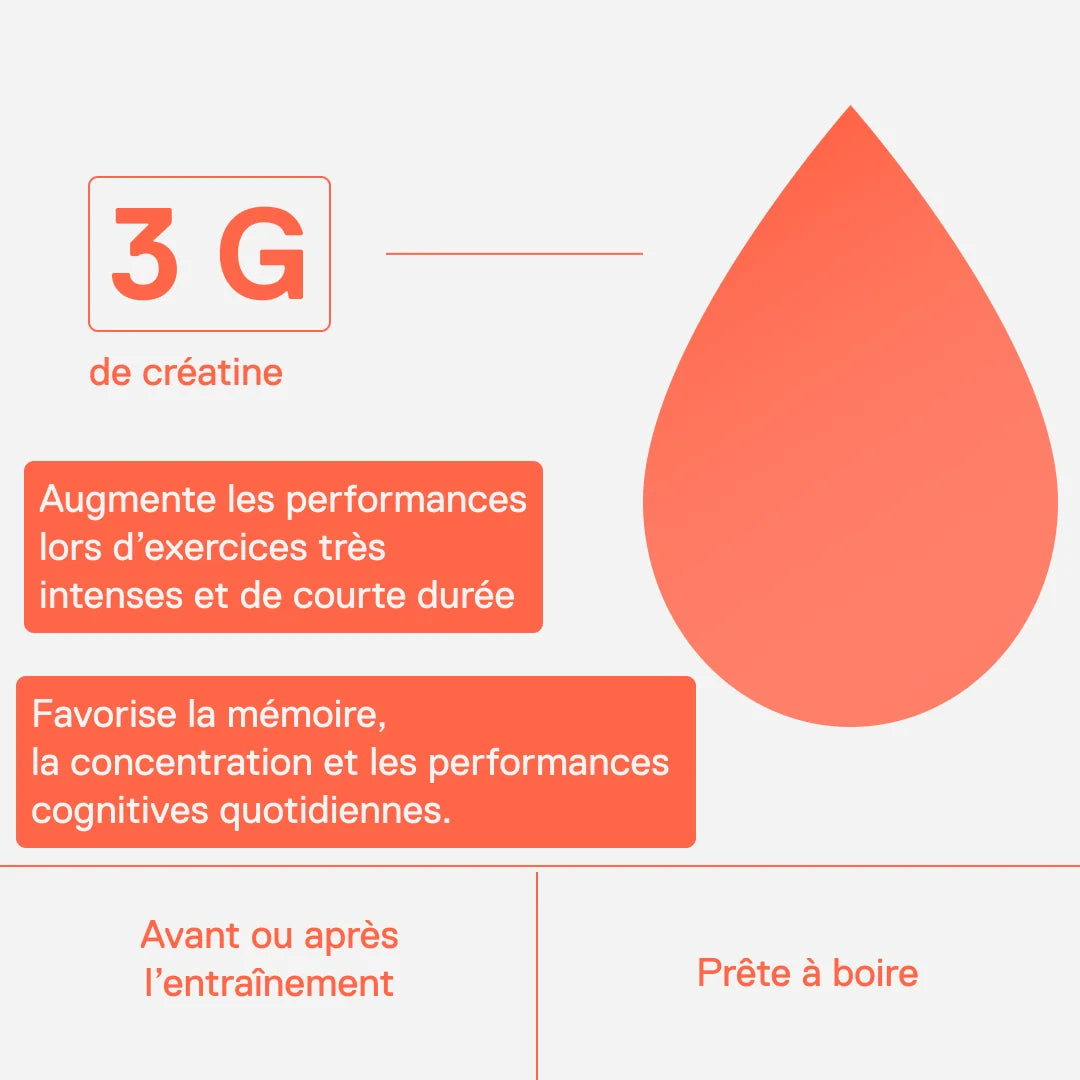 3 g de créatine par canette : augmente les performances lors d'exercices très intenses et de courte durée, avant ou après l'entraînement, prête à boire