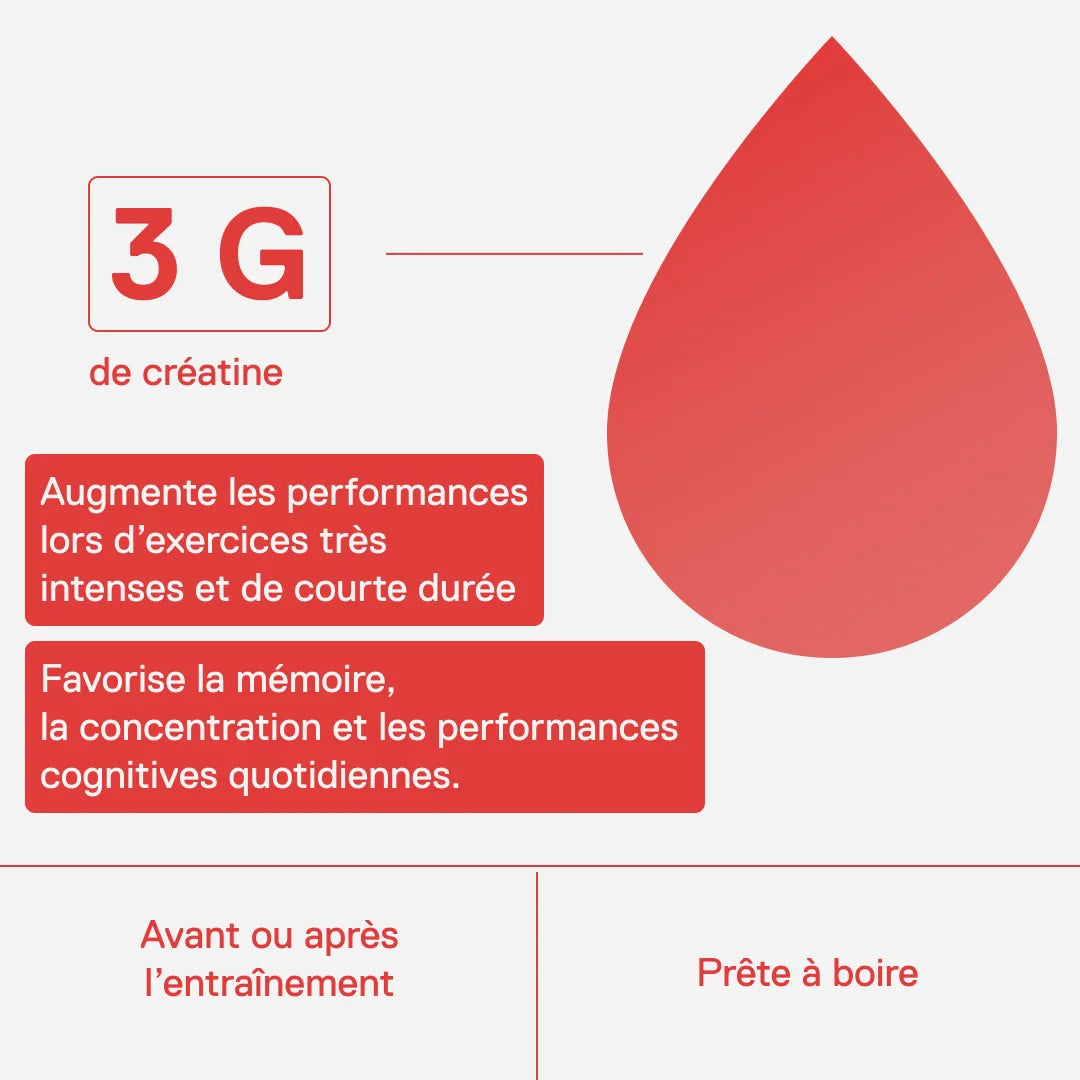 3 g de créatine par canette : augmente les performances lors d'exercices très intenses et de courte durée, avant ou après l'entraînement, prête à boire