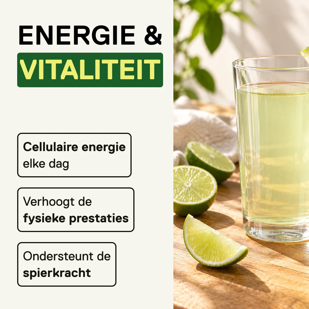 QNT LIIFE Micronized Creatine Limoen – energie en fysieke prestaties