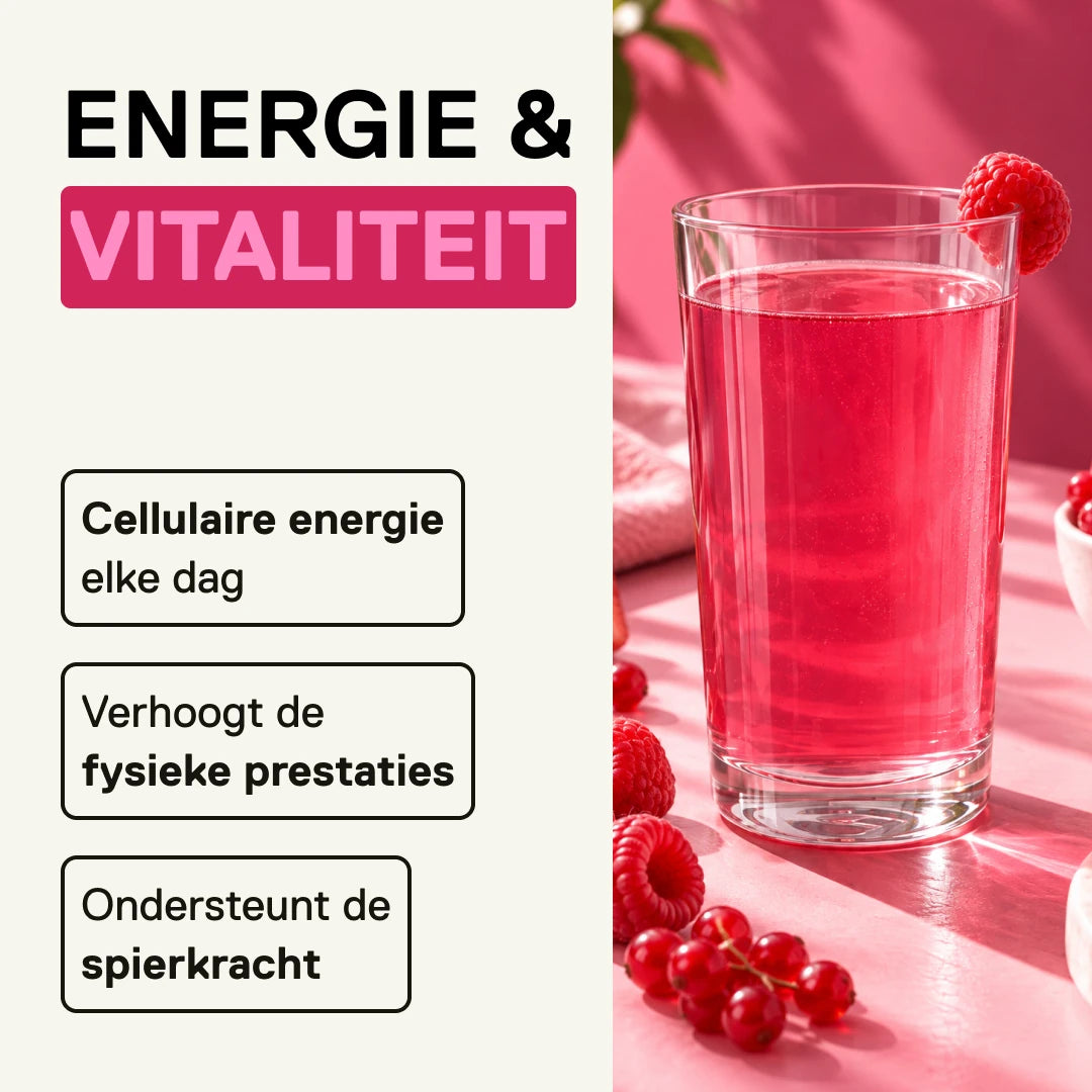 QNT LIIFE Micronized Creatine Rode Vruchten – energie en fysieke prestaties