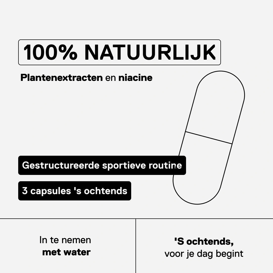 Riptek V2 METAPURE — formule met groene thee, rode peper, mate en niacine ter ondersteuning van de dagelijkse inspanning