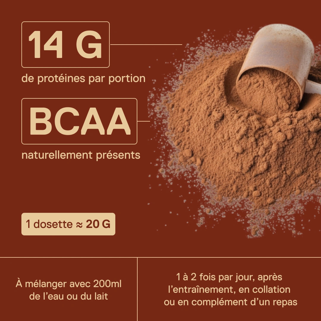 Whey protéine Light Digest QNT Chocolat noisette – 14 g de protéines par portion et BCAA naturellement présents, 1 dosette ≈ 20 g à mélanger avec 200 ml d'eau ou de lait