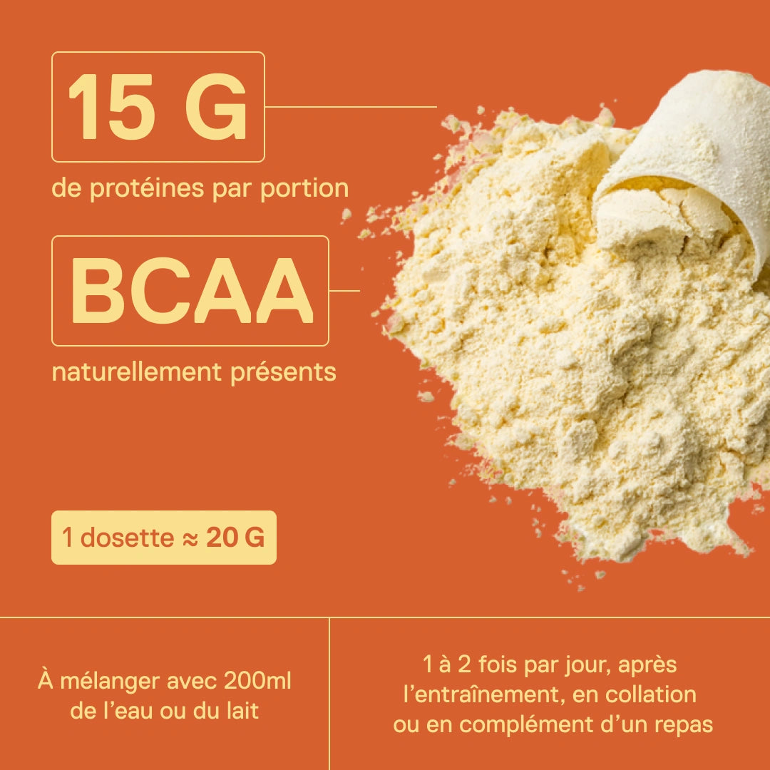 Whey protéine Light Digest QNT Crème brûlée – 15 g de protéines par portion et BCAA naturellement présents, 1 dosette ≈ 20 g à mélanger avec 200 ml d'eau ou de lait