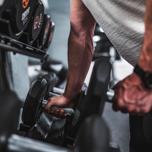 Gaining Muscle Guide. Gaining Muscle Guide.