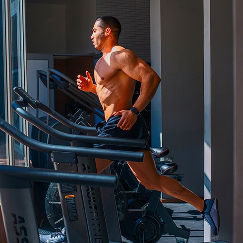 Everything you need to know about fat burners. Everything you need to know about fat burners.